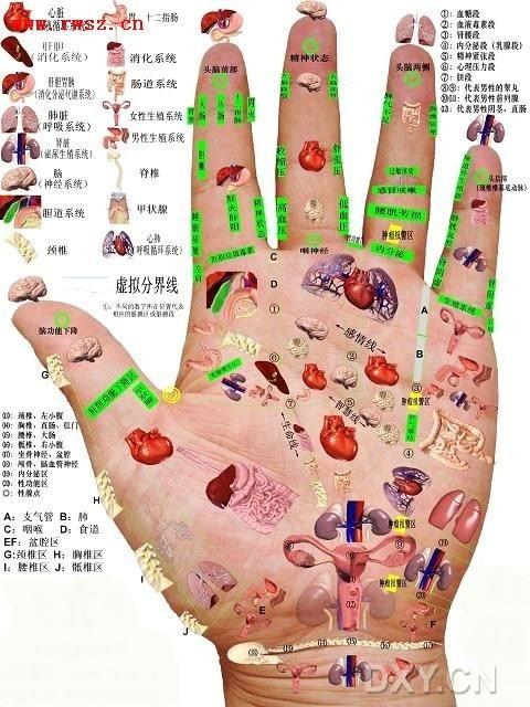 九大坏习惯损伤你的肾