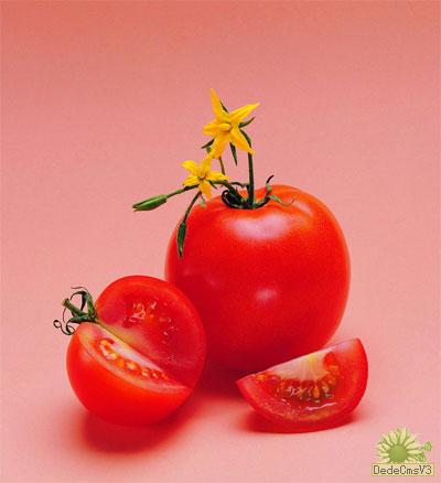 吃西红柿小心沙门氏菌