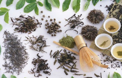 推荐!中医茶饮快速治感冒_治疗感冒