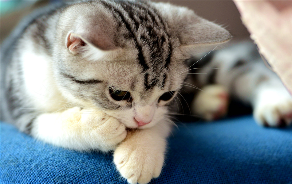 神经性头痛如何使用针灸治疗