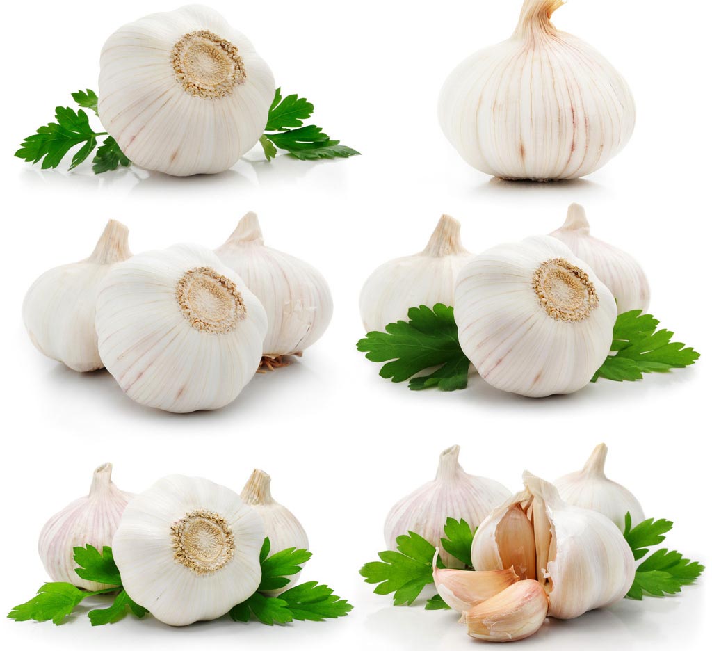 鸡蛋钱大蒜猜成语_大蒜的生长过程图片