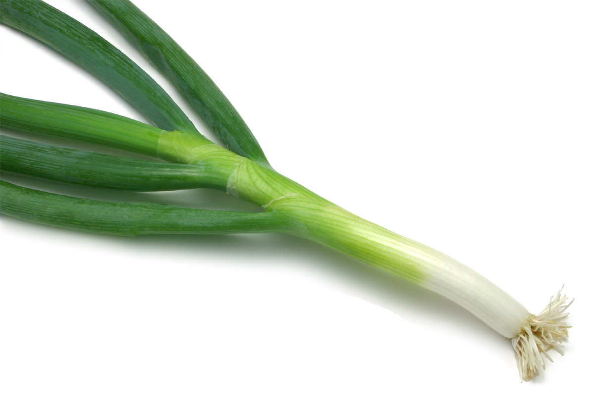 葱白香菜汤治风热感冒小偏方_治疗感冒_亲亲宝贝网