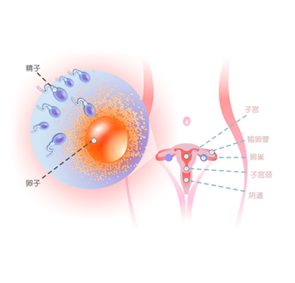 怀孕一周的症状是什么?