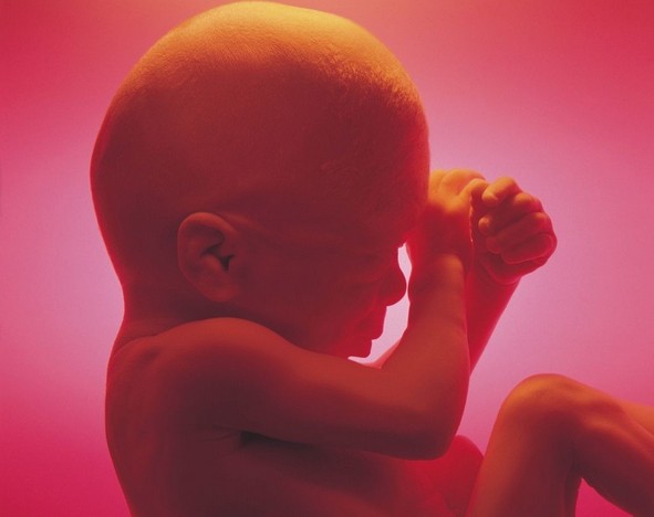 孕妇羊水早破的原因及危害_孕妇,羊水早破_孕