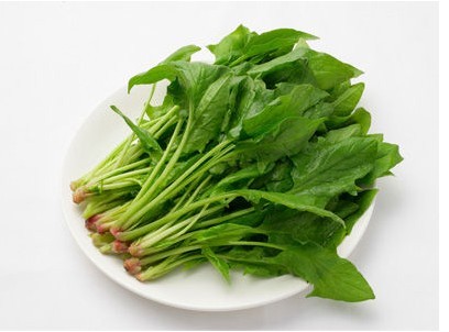 春季孕妈妈吃什么补身最好?_孕妇春季饮食,,叶