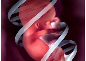 胎儿脐带绕颈会有危险吗_胎儿,脐带绕颈_孕妇