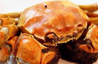 总结最容易让孕妇流产的食物_孕妇流产,食物_