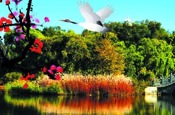 新生儿败血症的原因和症状_初生疾病