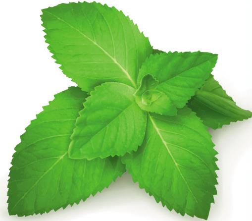 平安 我爱你中国_我爱你中国 平安_中国好声音