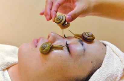 蜗牛美容:蜗牛爬脸美容只是一种新概念_婚姻家