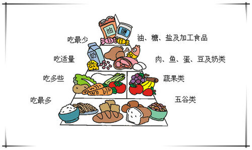 儿童成长中不可或缺的维生素成分