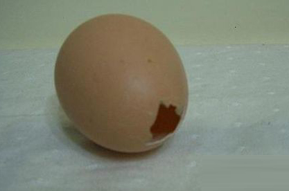 鸡蛋壳手工:diy不倒翁的做法图解