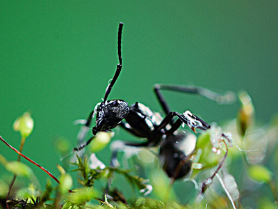 201204201126195918.jpg