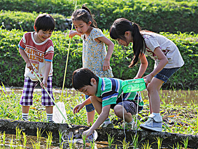 夏天的作文:描写夏天的作文_作文