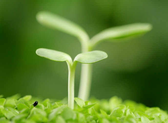 2014年春分是哪一天?春分是什么意思_节日大