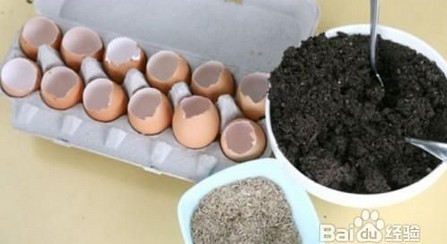 鸡蛋壳手工制作:DIY鸡蛋壳盆栽