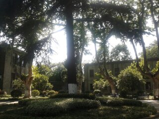 最近岛国爱情动作片新宠泷泽萝拉要出全裸AV的消息让整个网络都沸腾了，你是否还在都出求宠泷泽萝拉新片种子呢，现在说下载神马的都是浮云，先来看看照片过过眼瘾吧，这里有最全的宠泷泽萝拉写真。