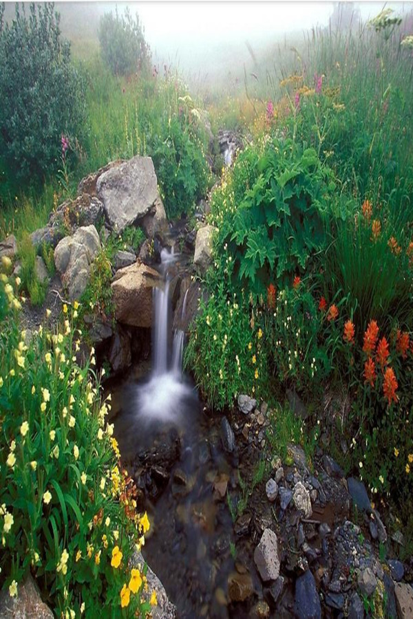 五彩缤纷亲子照