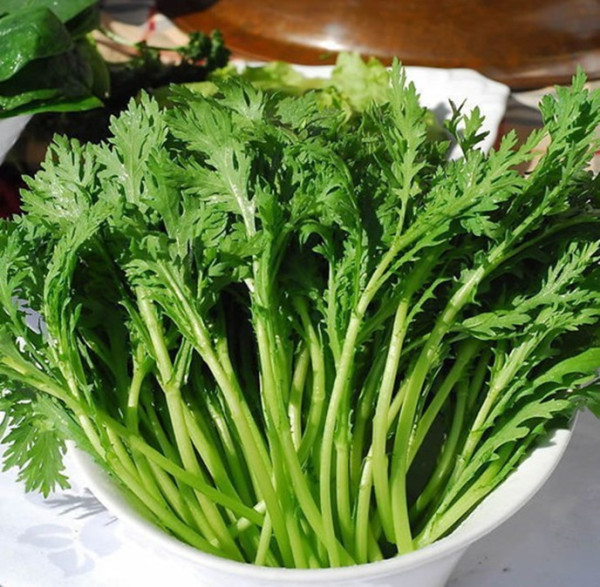 最难吃的蔬菜是油菜世界上最难吃的五种蔬菜