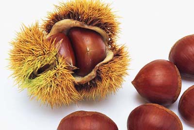 孕妇能吃板栗吗?孕妇吃板栗的好处_孕期