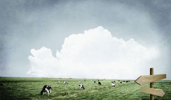 完达山掀新西兰乳品丑闻 多家乳业公司恐受牵