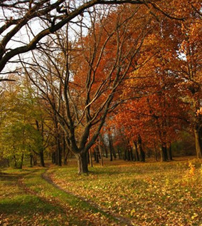 秋天防范宝宝腹泻小窍门_宝宝秋季养生