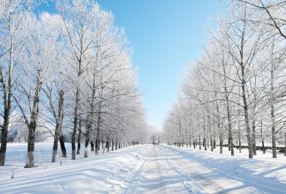 2012年大雪节气的时间是12月7日星期五