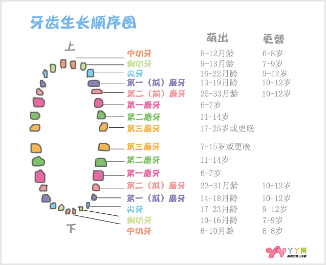 宝宝出牙时间与规律