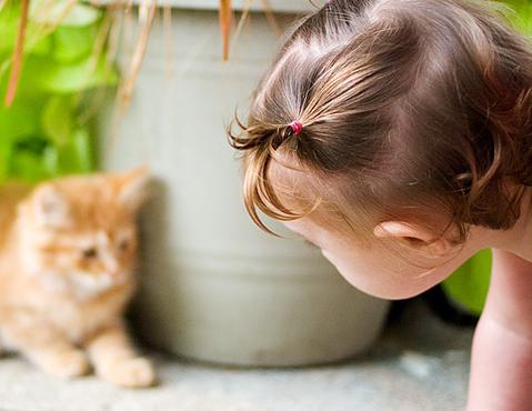 宝宝2月第2周_宝宝0-1岁