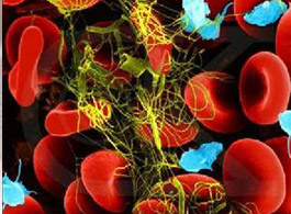 感冒_感冒症状_感冒用药_感冒饮食_感冒预防