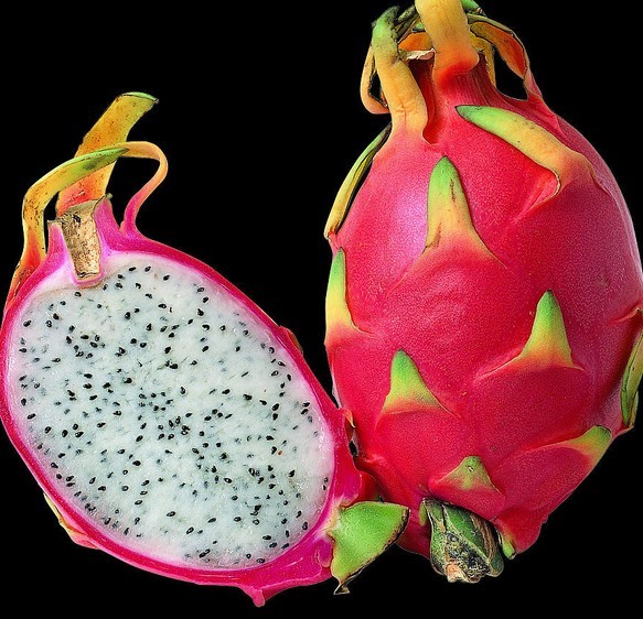 火龙果的功效和作用_饮食档案