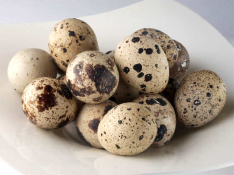 男人吃什么肉补肾效果好