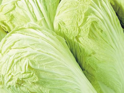 白菜的营养价值有哪些 吃白菜有什么好处_饮食