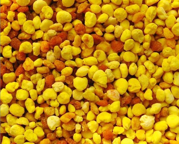 蜂花粉的功效与副作用_饮食禁忌