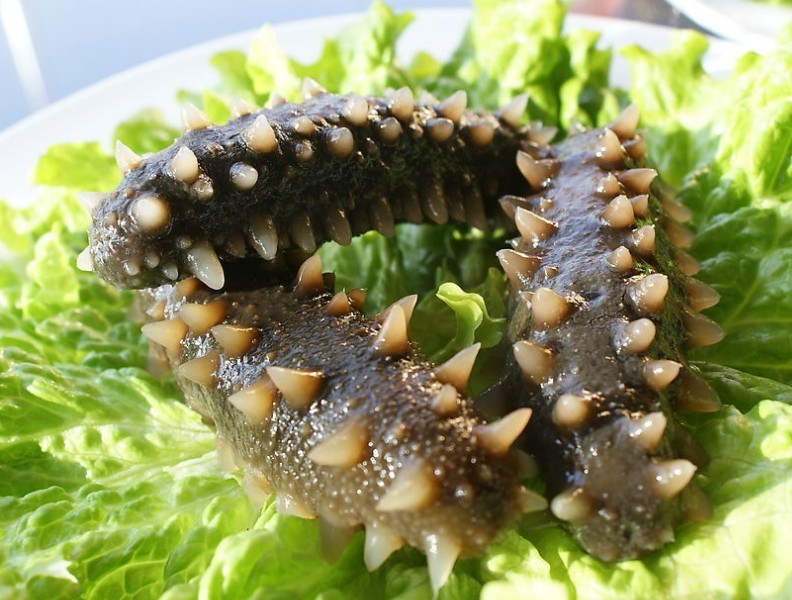 海参做法大全:海参怎么做才好吃_中国饮食