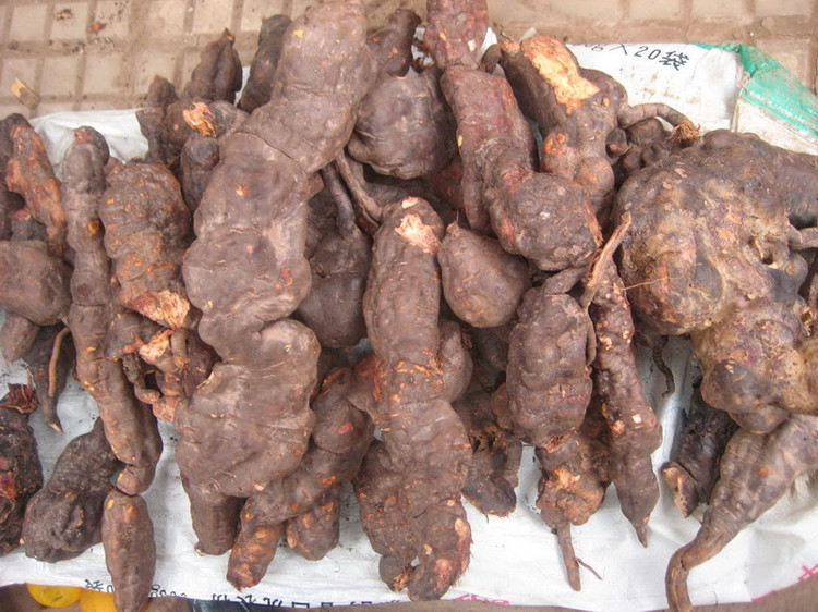 盘点茯苓粉的功效与作用_饮食档案