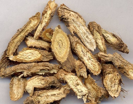 浅析地龙草_饮食档案