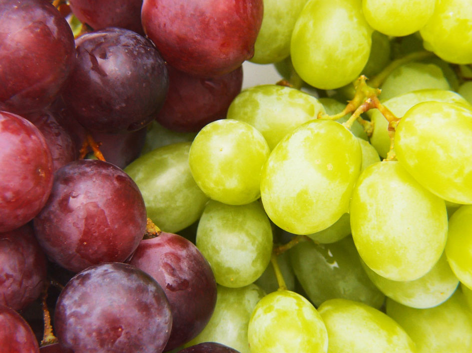 月经期间可以吃什么水果?温性水果最适宜_功