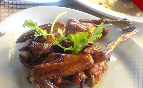 鸽子的营养价值