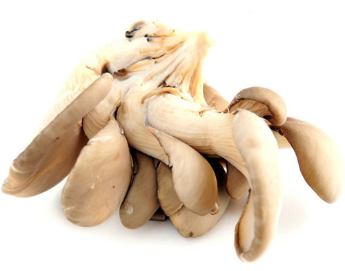 抑郁症饮食疗法粥品推荐_疾病调理