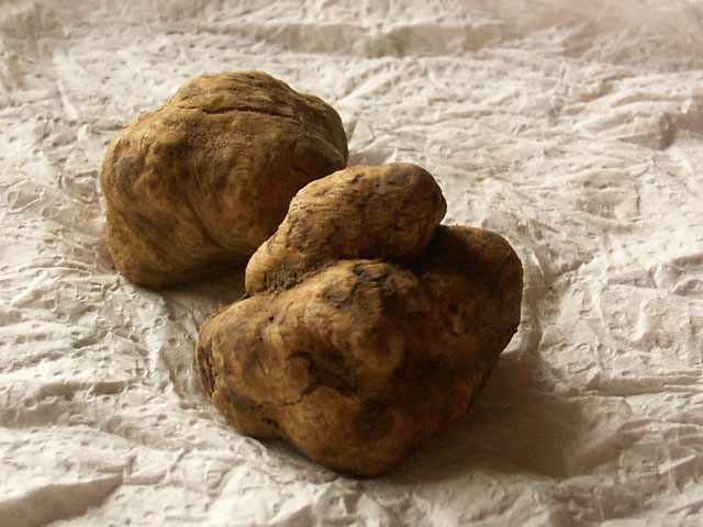 http:\/\/www.qbaobei.com\/ysjk\/yscs\/ysda\/201