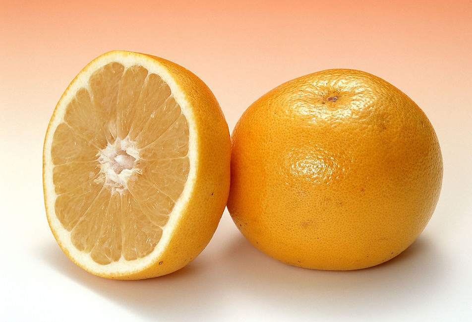 柑橘类水果的营养价值与功效_饮食档案