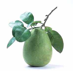 经期不能吃的水果有哪些?寒性水果不能吃_饮