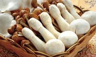 预防疾病的蘑菇食谱推荐