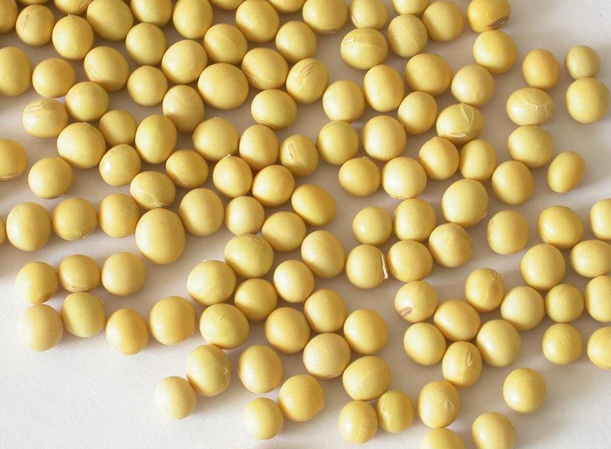 蛋白质粉怎么吃?食用蛋白粉的注意事项_饮食