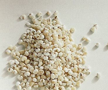 薏苡仁的营养价值及其功效作用_饮食档案