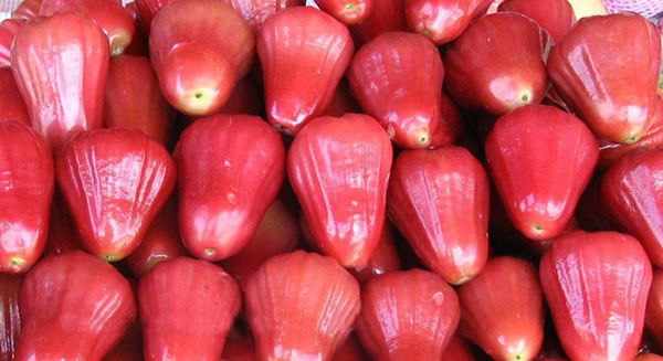 莲雾的营养价值及食用方法_饮食档案