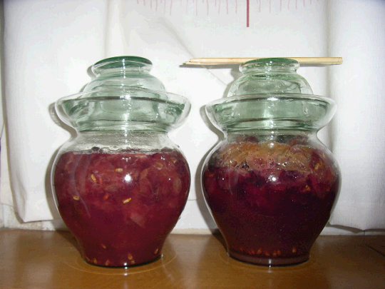 家庭酿造葡萄酒自制葡萄酒的做法_饮食档案