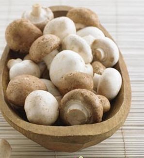 怎么用蘑菇减肥？两款蘑菇瘦身食谱助你排毒减肥