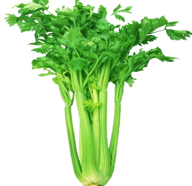 男性吃芹菜会杀精吗_饮食禁忌